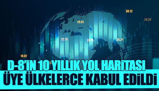 D-8 in yol haritası kabul edildi