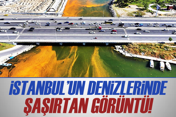 İstanbul da sıcaklığın artışıyla denizdeki alg yoğunluğu dikkati çekti