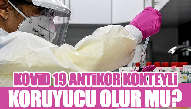 Antikor kokteyli koruyucu mu?