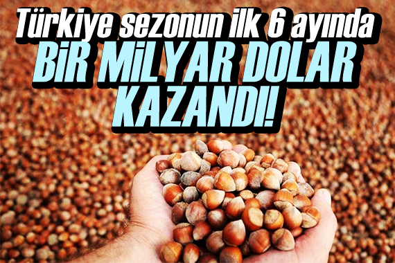 Türkiye fındık ihracatında sezonun ilk 6 ayında 1 milyar dolar kazandı