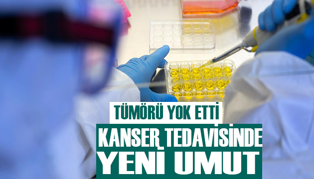 Kanser tedavisinde yeni umut!