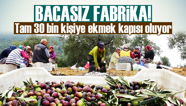 Bacasız fabrika! Tam 30 bin kişiye ekmek kapısı oluyor