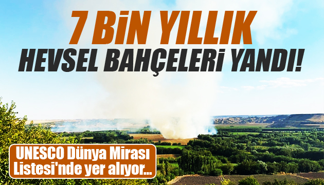 7 bin yıllık Hevsel Bahçeleri nde yangın çıktı!