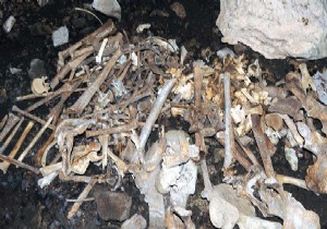 17 bin yıllık tapınakta 1,5 ton hayvan kemiği bulundu
