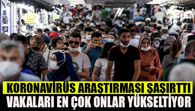 İlginç koronavirüs araştırması