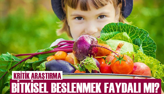 Bitkisel beslenmek ne kadar faydalı?