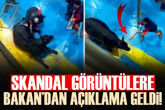 Skandal görüntüler için Bakan Yumaklı dan açıklama!