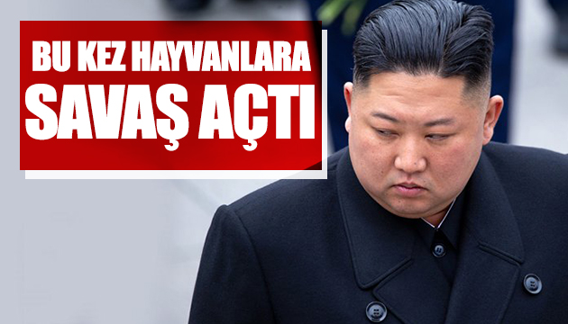 Kim Jong-un hayvanlara savaş açtı