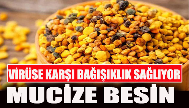 Mucize besin propolis