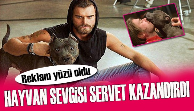 Kıvanç Tatlıtuğ'un hayvan sevgisi yarım milyon dolar kazandırdı!