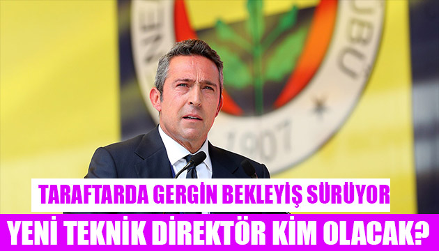 Fenerbahçe nin teknik direktörü kim olacak?