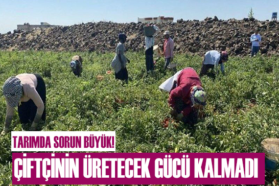 Tarımda büyük sorun! Çiftçinin üretecek gücü kalmadı