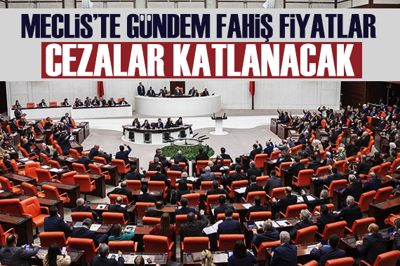 Meclis in gündemi: Fahiş fiyatlar