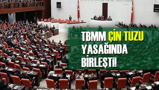 TBMM, Çin tuzu yasağında birleşti