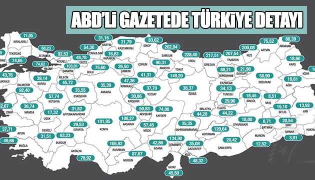 ABD li gazetede Türkiye detayı