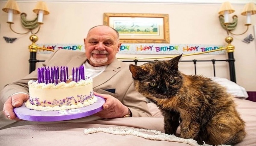 31 yaşındaki kedi dikkat çekti
