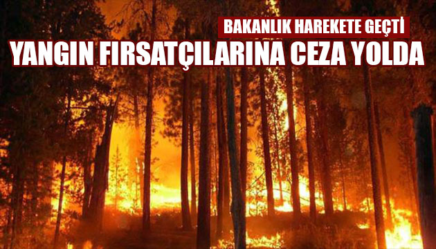 Bakan talimat verdi! Fırsatçılara inceleme