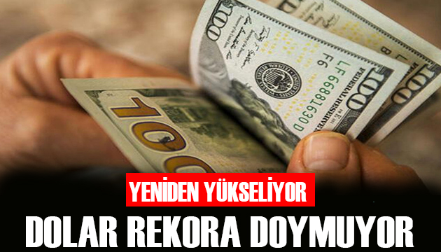 Dolar rekora doymuyor!