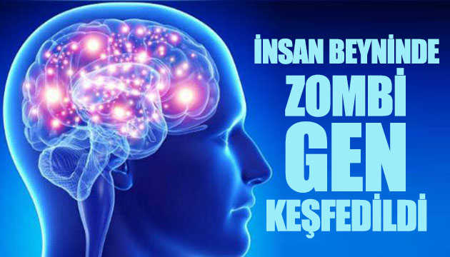 İnsan beyninde zombi genler keşfedildi