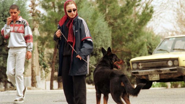 Tahran da köpek gezdirmek yasaklandı: Deve mi gezdirelim?