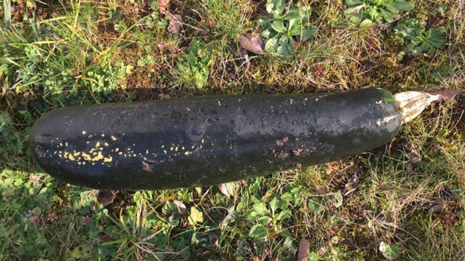 Patlamamış bomba sandılar, kabak çıktı