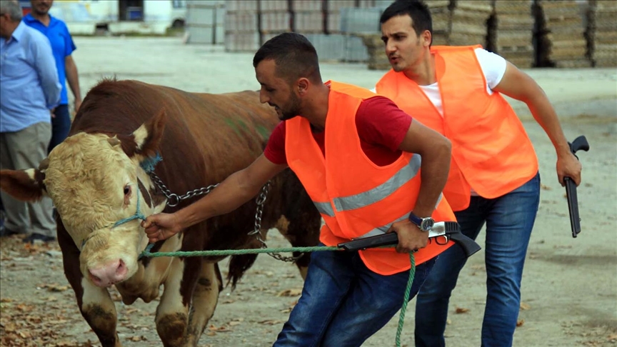 İBB Kurban Bayramı na hazır!