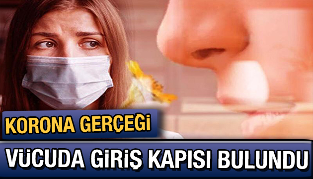 Korona virüsün vücuda ana giriş kapısı bulundu