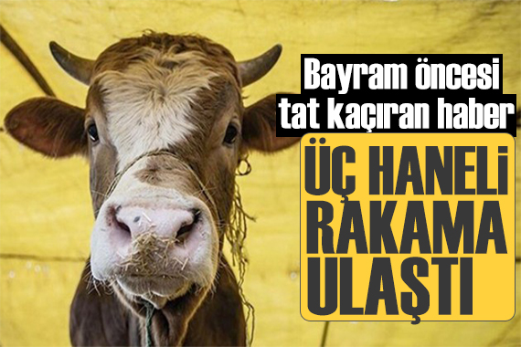 Kurban Bayramı öncesi et fiyatları durmuyor! Yüzde 150 arttı