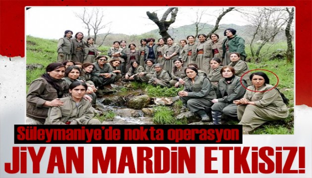 MİT'ten nokta atış! Jiyan Mardin etkisiz hale getirildi