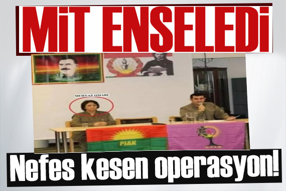 MİT ve Emniyet ten ortak operasyon: Mehnaz Omarı enselendi