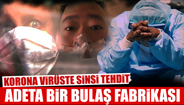 Müftüoğlu: Her biri adeta bulaş fabrikası