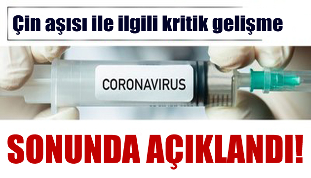 Sinovac ın Brezilya daki sonuçları açıklandı