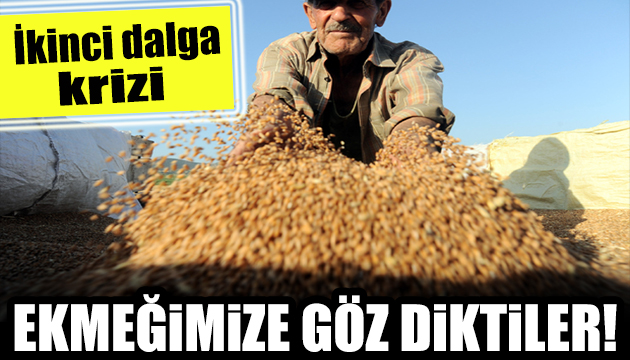 Ekmeğimize göz diktiler!