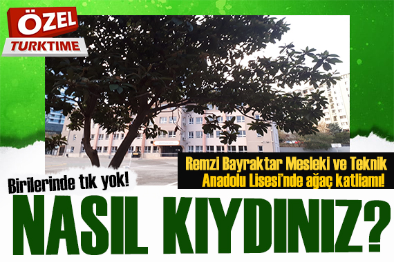 Remzi Bayraktar Mesleki ve Teknik Anadolu Lisesi nde ağaçlar katlediliyor!