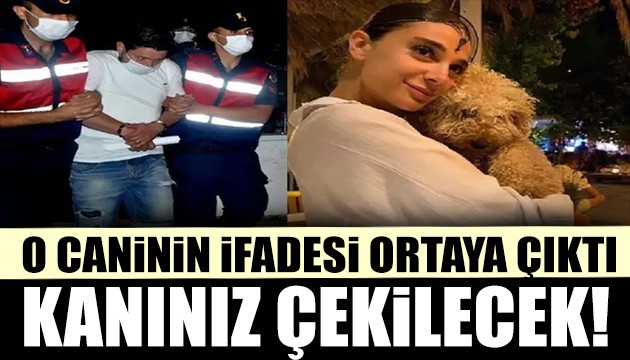 Pınar Gültekin'in katili Cemal Metin Avcı'nın ifadesi ortaya çıktı