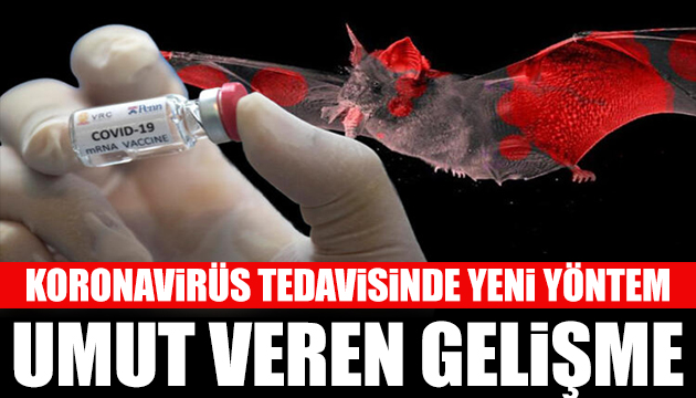 Bilim insanları araştırdı! Virüs tedavisi için  kan temizleme  yöntemi