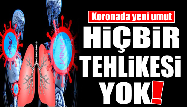 Koronavirüste güzel haber! Hiçbir zararı yok