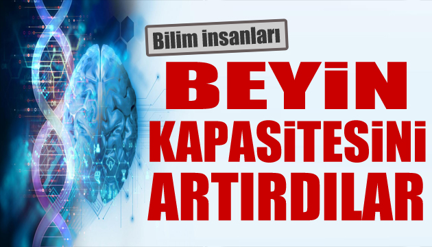 Bilim insanları maymun beynini büyütmeyi başardı