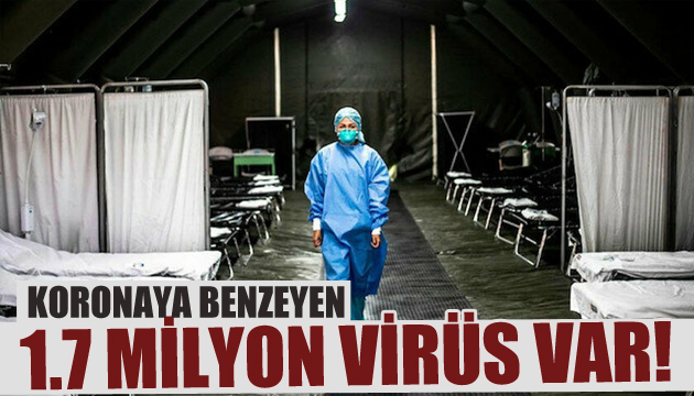 Keşfedilmemiş 1.7 milyon virüs var