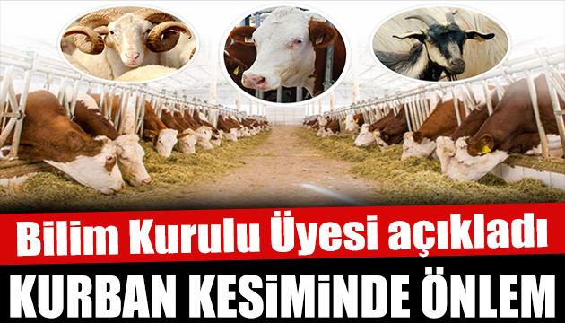 Bilim Kurulu üyesi Çelik: Kurbanın kendisinden koronavirüs bulaşmaz