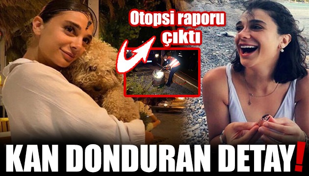 Pınar Gültekin cinayetinde 'cenin pozisyonu' detayı