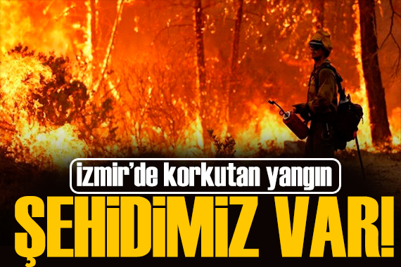 İzmir de orman yangını! Mustafa Gürpınar şehit oldu