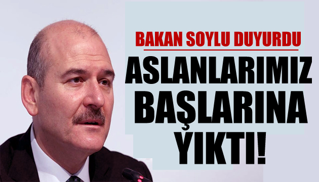 Bakan Soylu duyurdu: Aslanlarımız başlarına yıktı