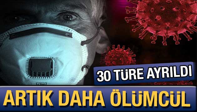 Korona virüs 30 farklı türe ayrıldı