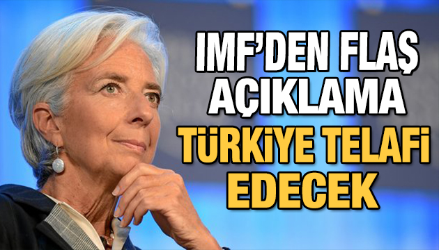 IMF den dikkat çeken açıklama