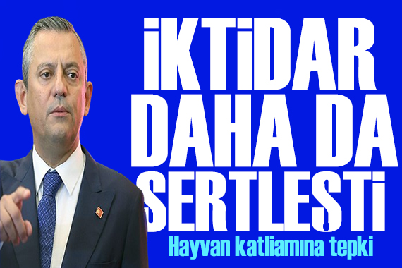 Özgür Özel den hayvan katliamına tepki: İktidar daha da acımasızlaşıyor