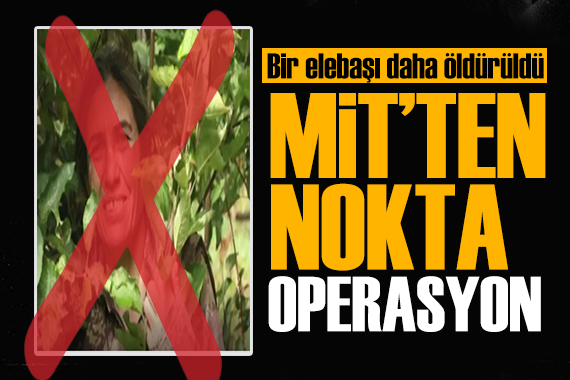 MİT ten nokta operasyon! Ayşe Arslan etkisiz hale getirildi