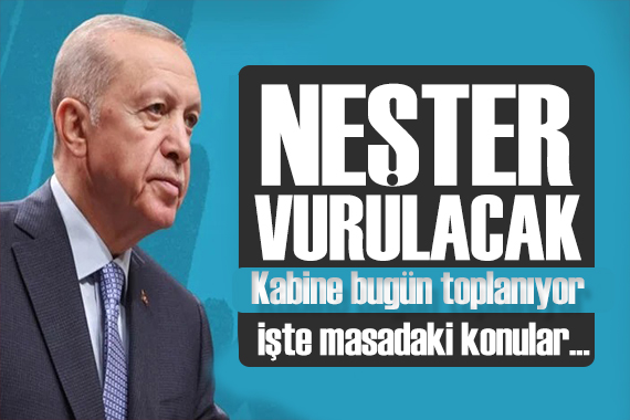 Gözler Kabine de: Kadına şiddet! İşte masadaki konular