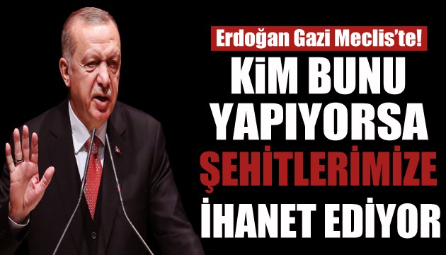 Erdoğan: Kimse bu şanlı mücadeleyi önemsizleştiremez