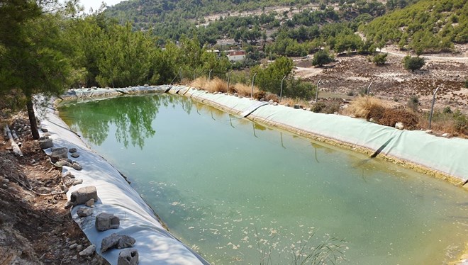 Acı haber! Sulama havuzunda ölü bulundular